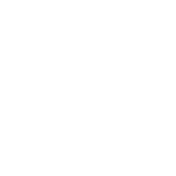 Facial Massage